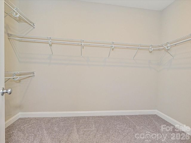 6320 Kennard Drive, Charlotte, NC 28216