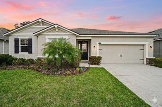 11406 BLUE WOODS DRIVE, Riverview, FL 33569