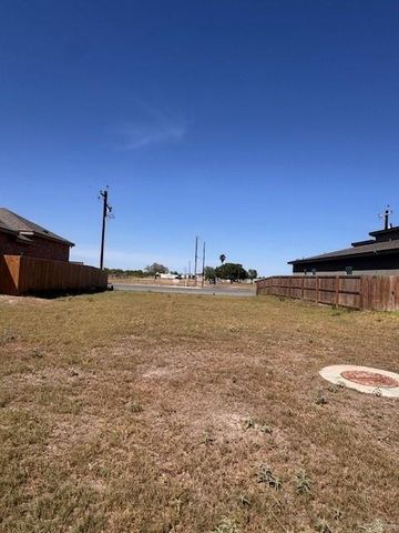 1001 E Costa Del Sol Avenue, Edinburg, TX 78542