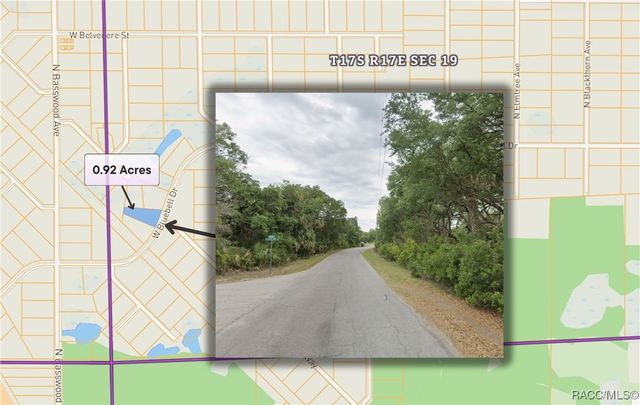 11909 W Bluebell Drive, Crystal River, FL 34428