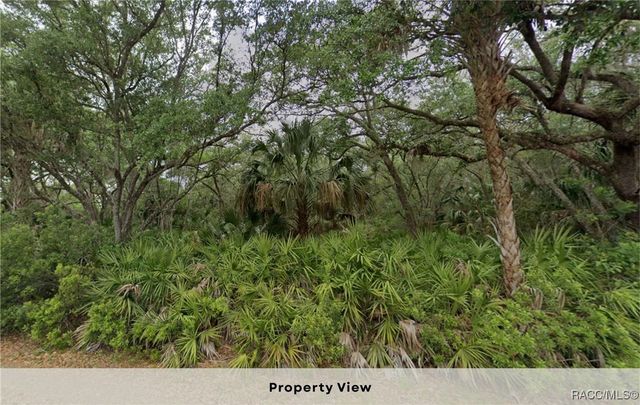 11909 W Bluebell Drive, Crystal River, FL 34428
