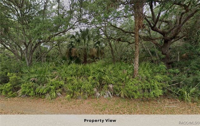 11909 W Bluebell Drive, Crystal River, FL 34428