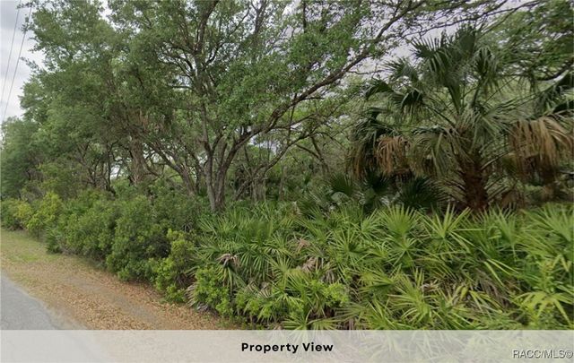 11909 W Bluebell Drive, Crystal River, FL 34428