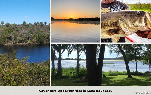 11909 W Bluebell Drive, Crystal River, FL 34428