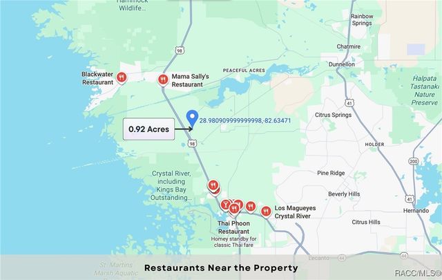 11909 W Bluebell Drive, Crystal River, FL 34428