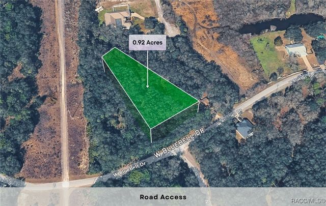 11909 W Bluebell Drive, Crystal River, FL 34428