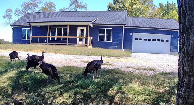 796 Hidden Acres, Mount Olivet, KY 41064