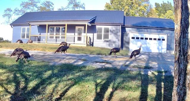 796 Hidden Acres, Mount Olivet, KY 41064