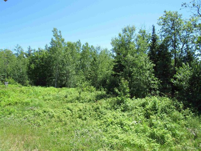 19007 Cr 601 Road, Champion, MI 49814