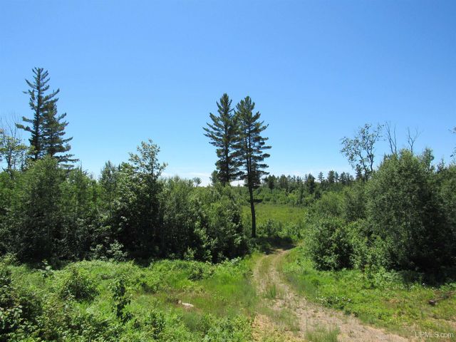 19007 Cr 601 Road, Champion, MI 49814