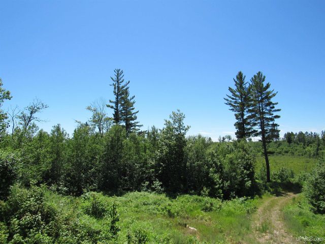 19007 Cr 601 Road, Champion, MI 49814