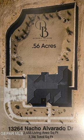 13264 Nacho Alvarado Drive, Clint, TX 79836