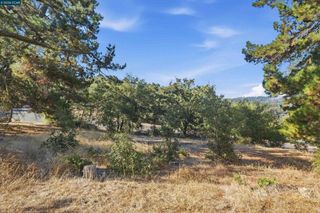 0 Hamlin Rd, Lafayette, CA 94549