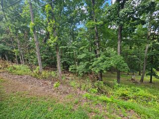 0 Pin Oak DR, Blue Ridge, VA 24064
