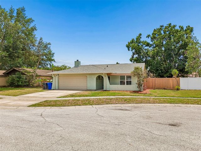 4706 WANDERING WAY, Tampa, FL 33624