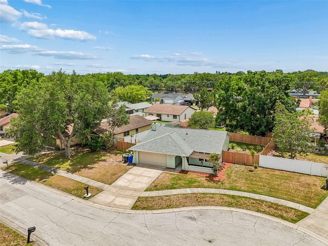 4706 WANDERING WAY, Tampa, FL 33624