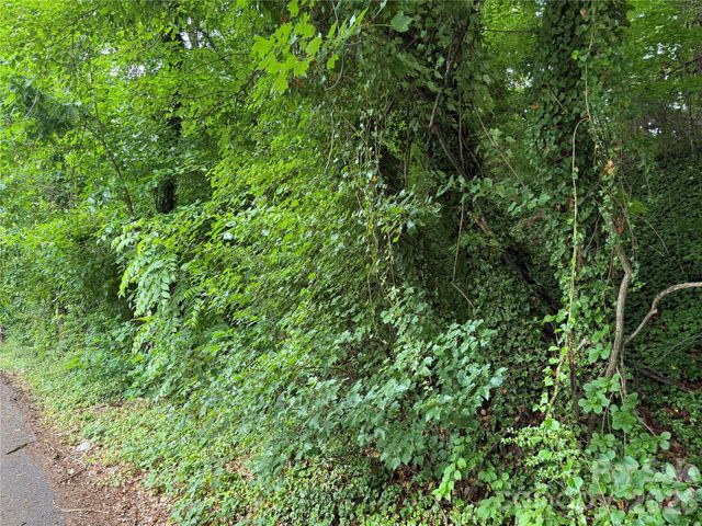 91 Iris Street, Asheville, NC 28803