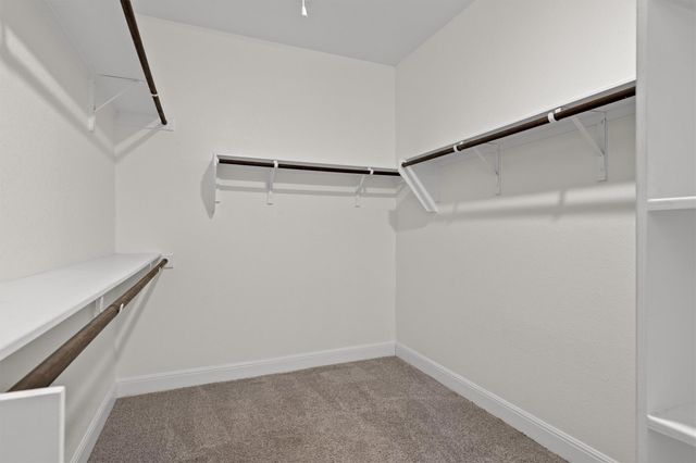 3241 Aurelia LN, Round Rock, TX 78665