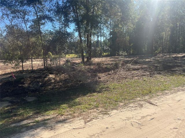 TBD SW 136 AVENUE, Ocala, FL 34481