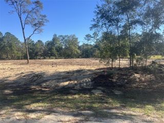 TBD SW 136 AVENUE, Ocala, FL 34481