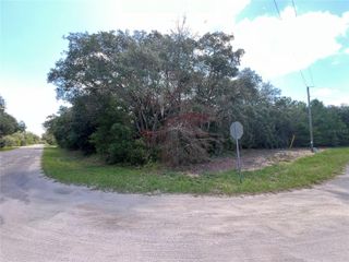 LOT 36 BLK1140 FISHER WAY TRAIL, Ocklawaha, FL 32179