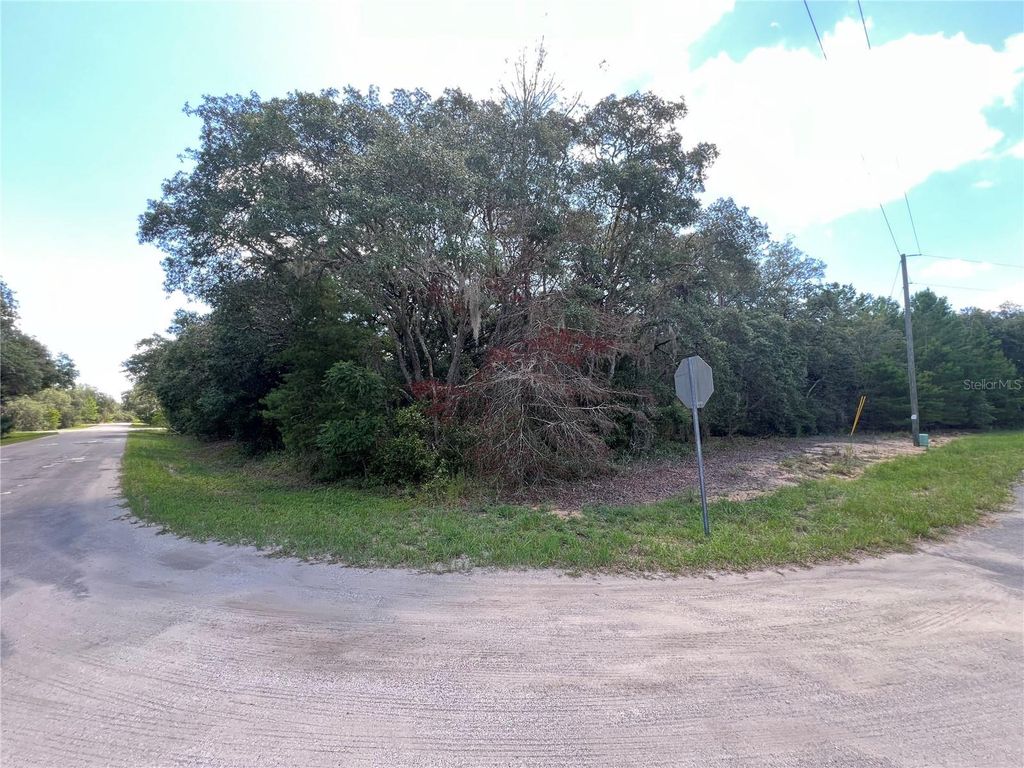 LOT 36 BLK1140 FISHER WAY TRAIL, Ocklawaha, FL 32179