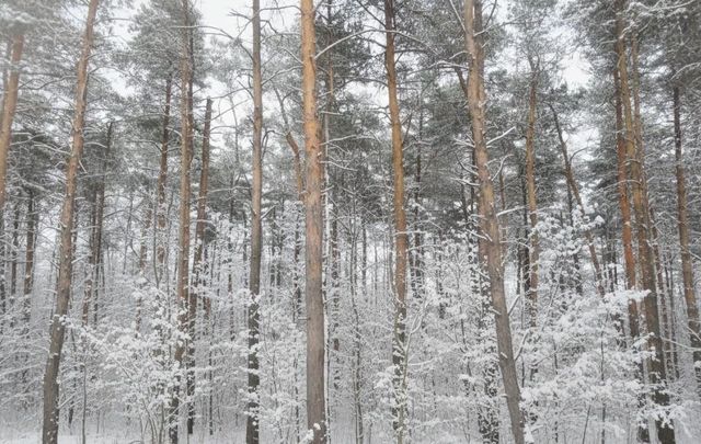 B Garfield Road, Paradise Twp, MI 49649