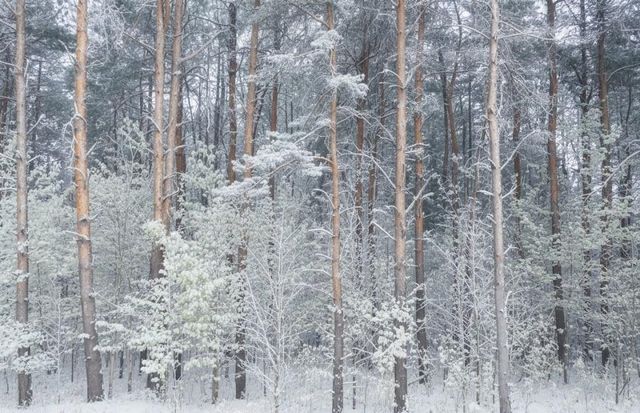 B Garfield Road, Paradise Twp, MI 49649