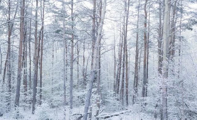 B Garfield Road, Paradise Twp, MI 49649