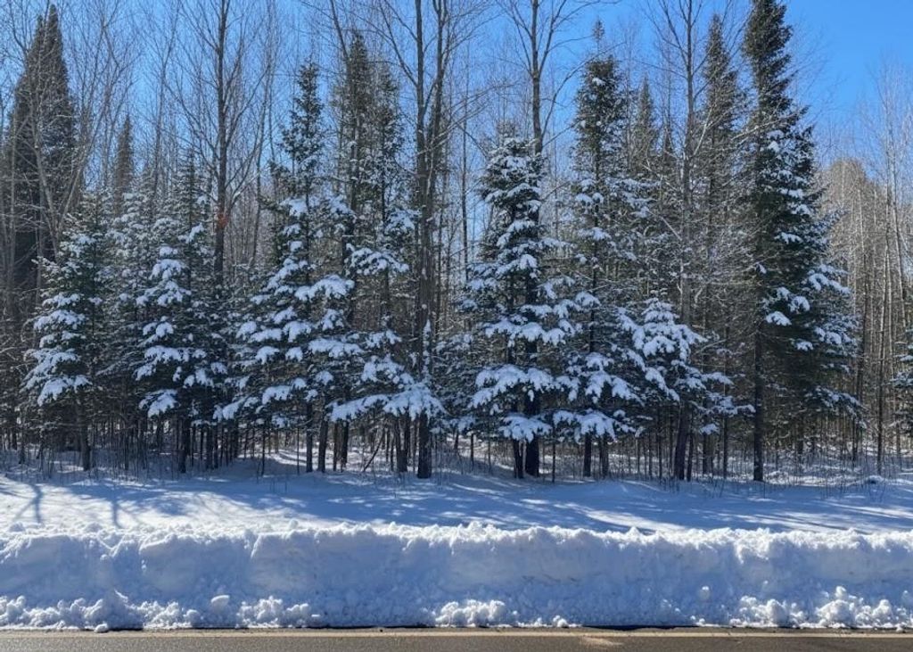 B Garfield Road, Paradise Twp, MI 49649