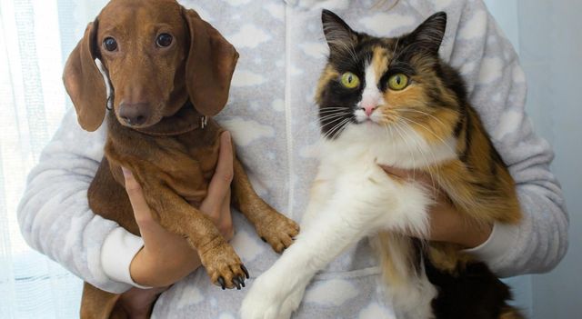 631 Canvas Ave, Fulshear, TX 77441