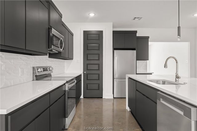 3009 Alpha Wolf Court, College Station, TX 77845