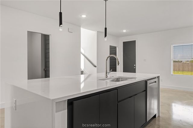 3009 Alpha Wolf Court, College Station, TX 77845