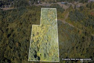 0 Lot 5 Spirit Lake Parcel WK3612010 Highway, Castle Rock, WA 98611