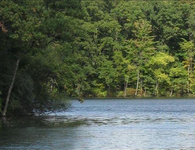 4435 Central Street, Columbiaville, MI 48421