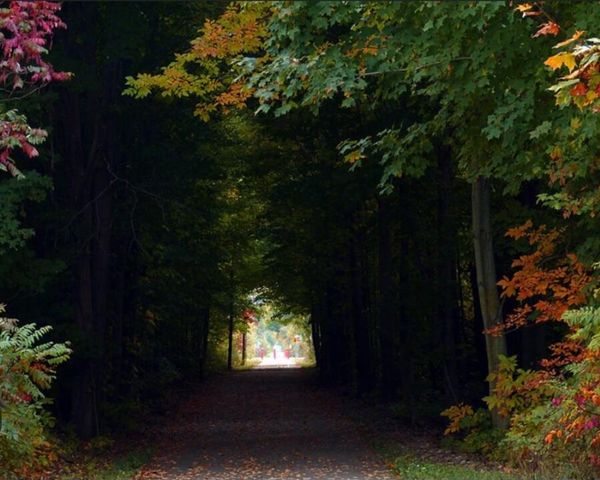 4435 Central Street, Columbiaville, MI 48421