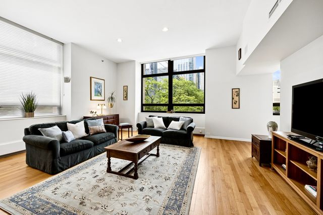 680 N Lake Shore Drive 221, Chicago, IL 60611
