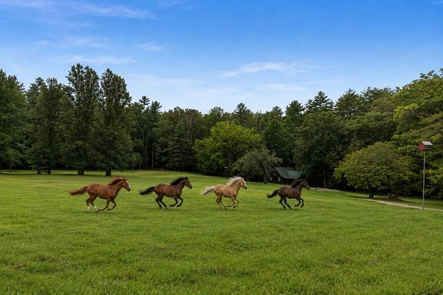 167 Halls Hidden Cove, Suches, GA 30572