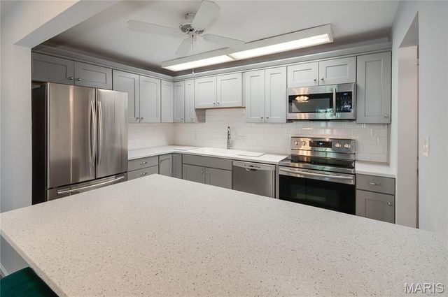 942 Guelbreth Lane 301, Creve Coeur, MO 63141