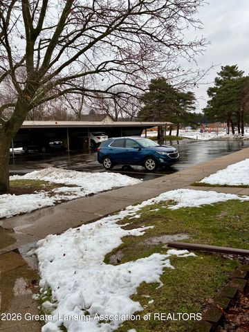 513 N Scott Street, Dewitt, MI 48820