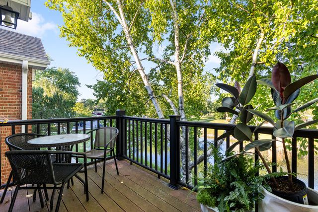 1344 McDowell Road 201, Naperville, IL 60563