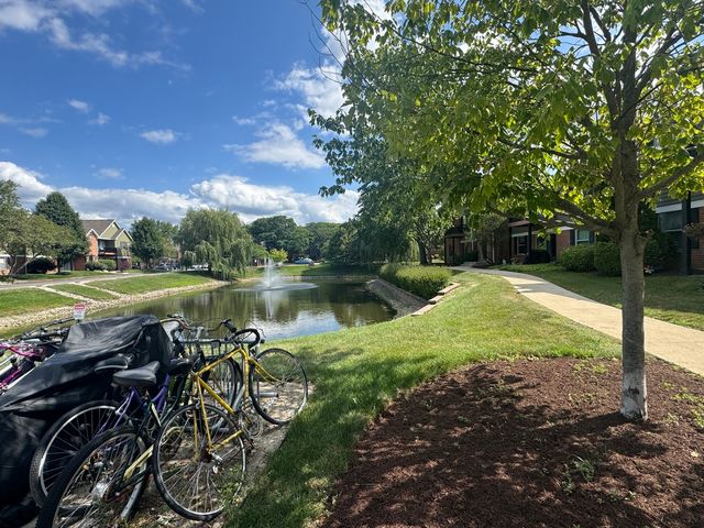 1344 McDowell Road 201, Naperville, IL 60563