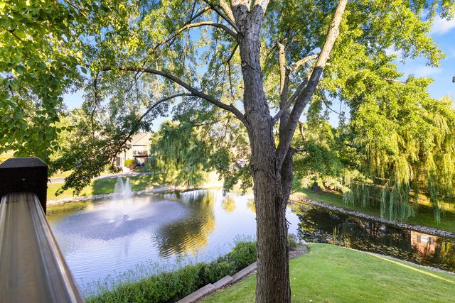 1344 McDowell Road 201, Naperville, IL 60563