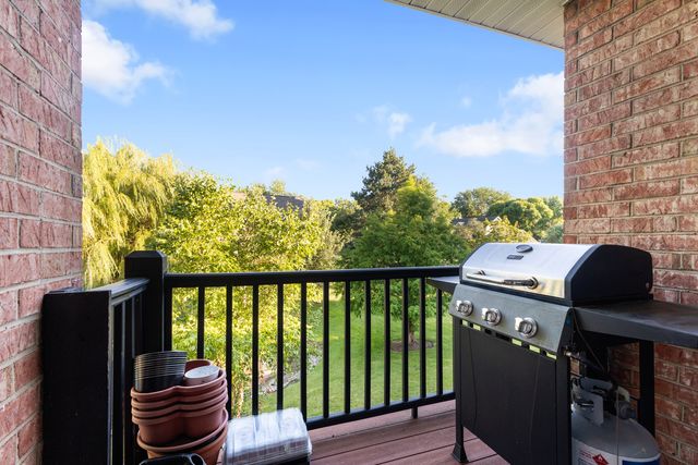 1344 McDowell Road 201, Naperville, IL 60563