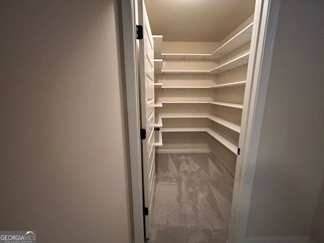 870 Clifton Springs Close Drive, Atlanta, GA 30349