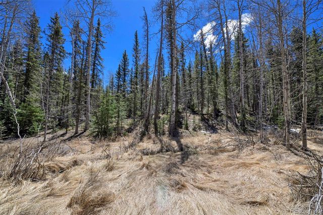 112 Blue Jay Lane, Florissant, CO 80816