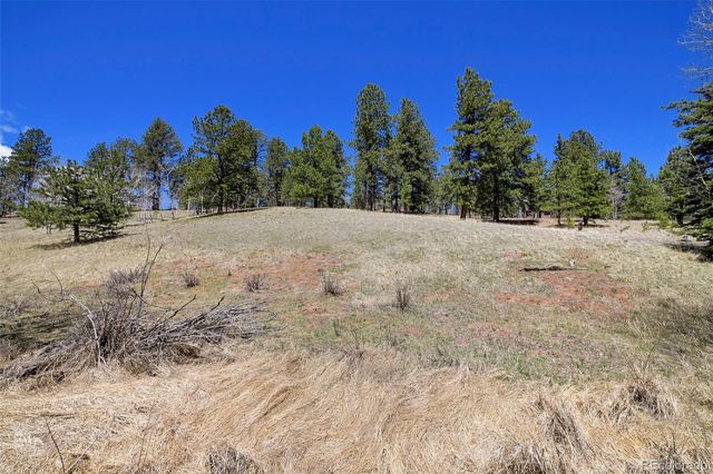 112 Blue Jay Lane, Florissant, CO 80816