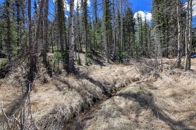 112 Blue Jay Lane, Florissant, CO 80816