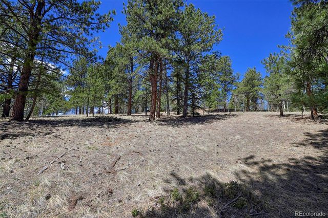 112 Blue Jay Lane, Florissant, CO 80816