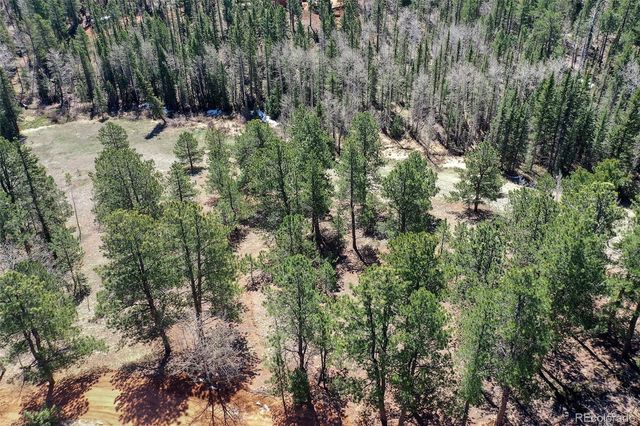 112 Blue Jay Lane, Florissant, CO 80816